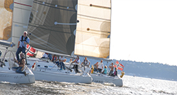 regatta i oslofjorden