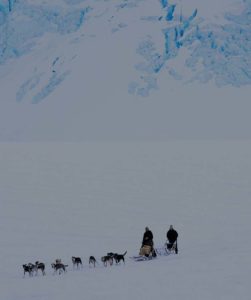 Firmatur til svalbard hunespann